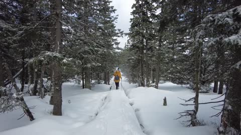 Poland - Karkonosze