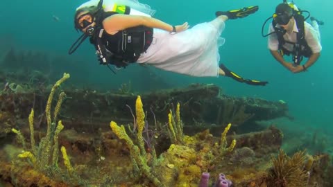 Underwater Wedding with Dixie Divers