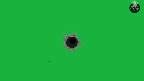 Gunshots Green screen