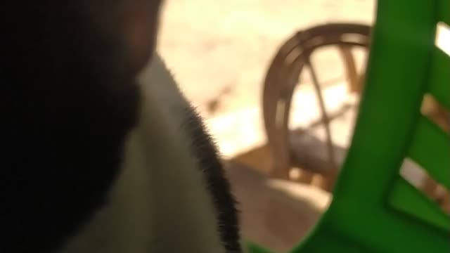 MY cat is angry 😅 please tell me why?
