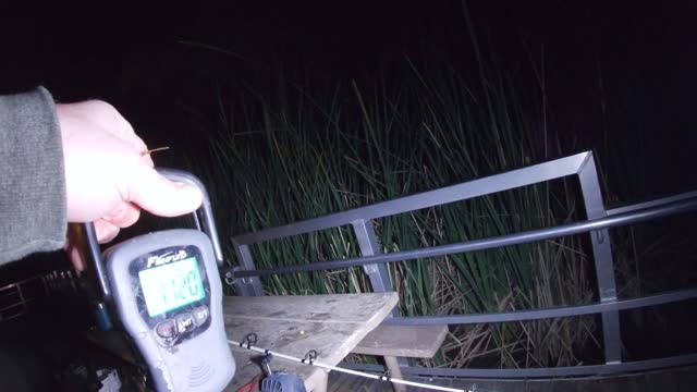 Spring Time Flathead Catfishing In Arizona