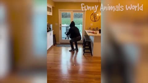 Funniest cats and dogs Videos 😂😂##funny animals videos 2023##