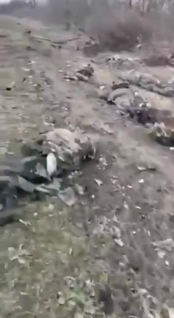 A Bad Day for Ruskis