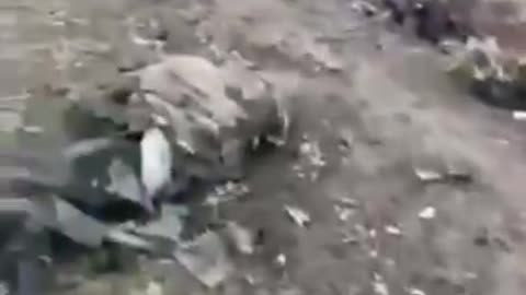 A Bad Day for Ruskis