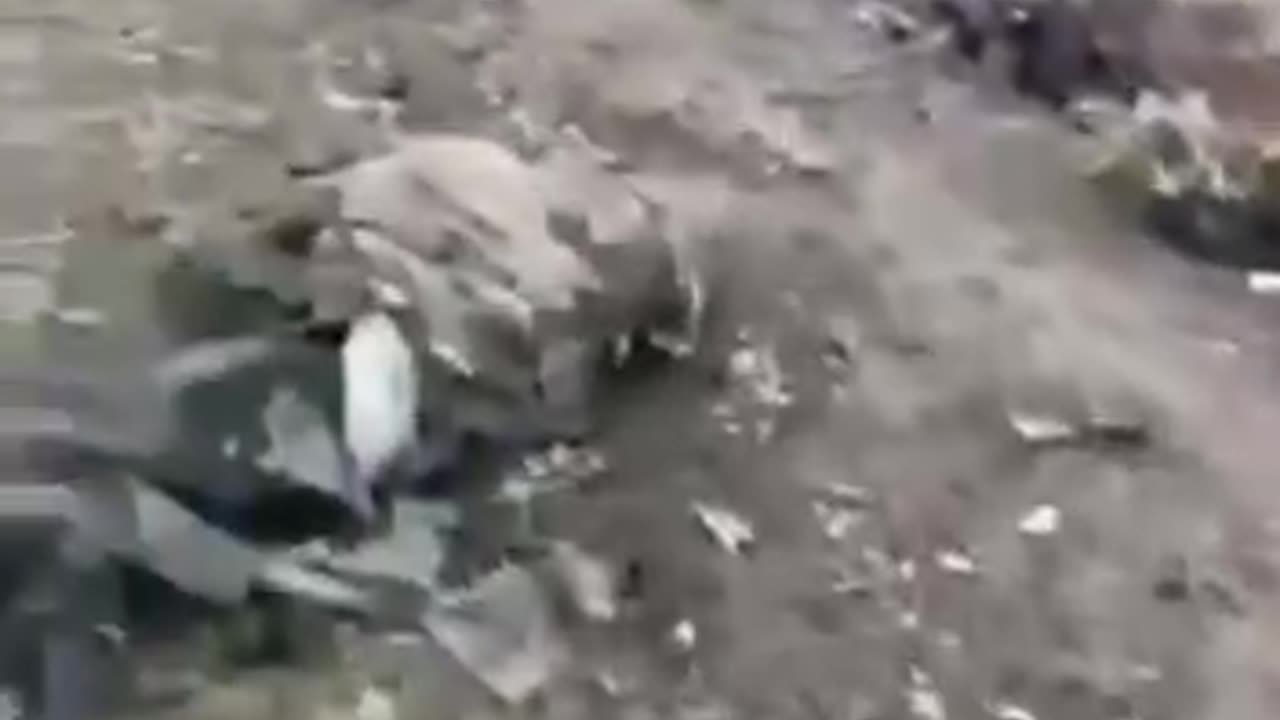 A Bad Day for Ruskis