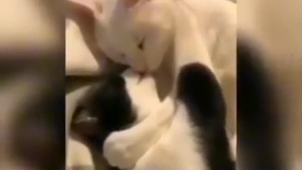 Quando você está apaixonado ...
