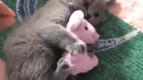it is mine