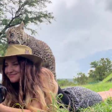 Wildlife photography with Leopard