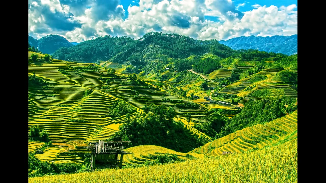 beautiful scenery 2