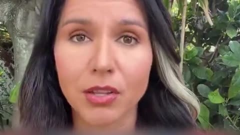 Facts That Speak for Themselves: Why the Deep State Fears Tulsi Gabbard