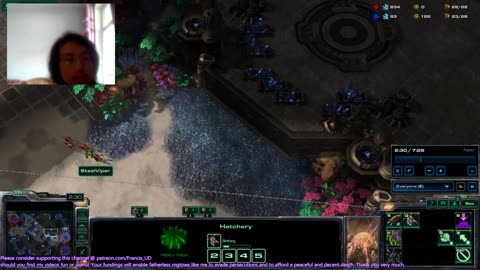 starcraft2 zvz gresvan got mauled by lings rush zvp altitude still couldn't beat this protoss