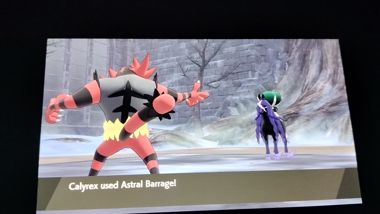 Pokemon Sword:Battling Calyrex