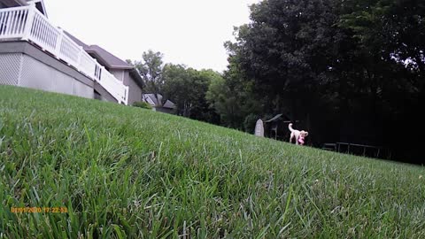 Bent Tree Baxter Strong3