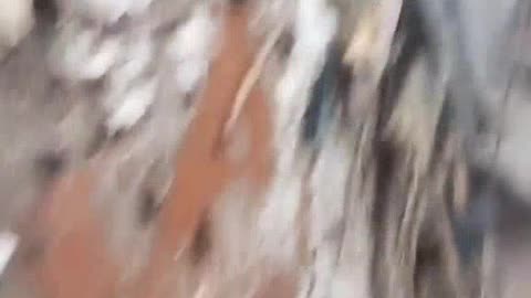 Video of fierce street fighting in Marinka