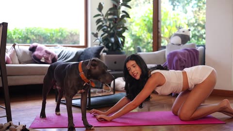 Beginner's Yoga for My Bad Knees Featuring My Fur Babies!