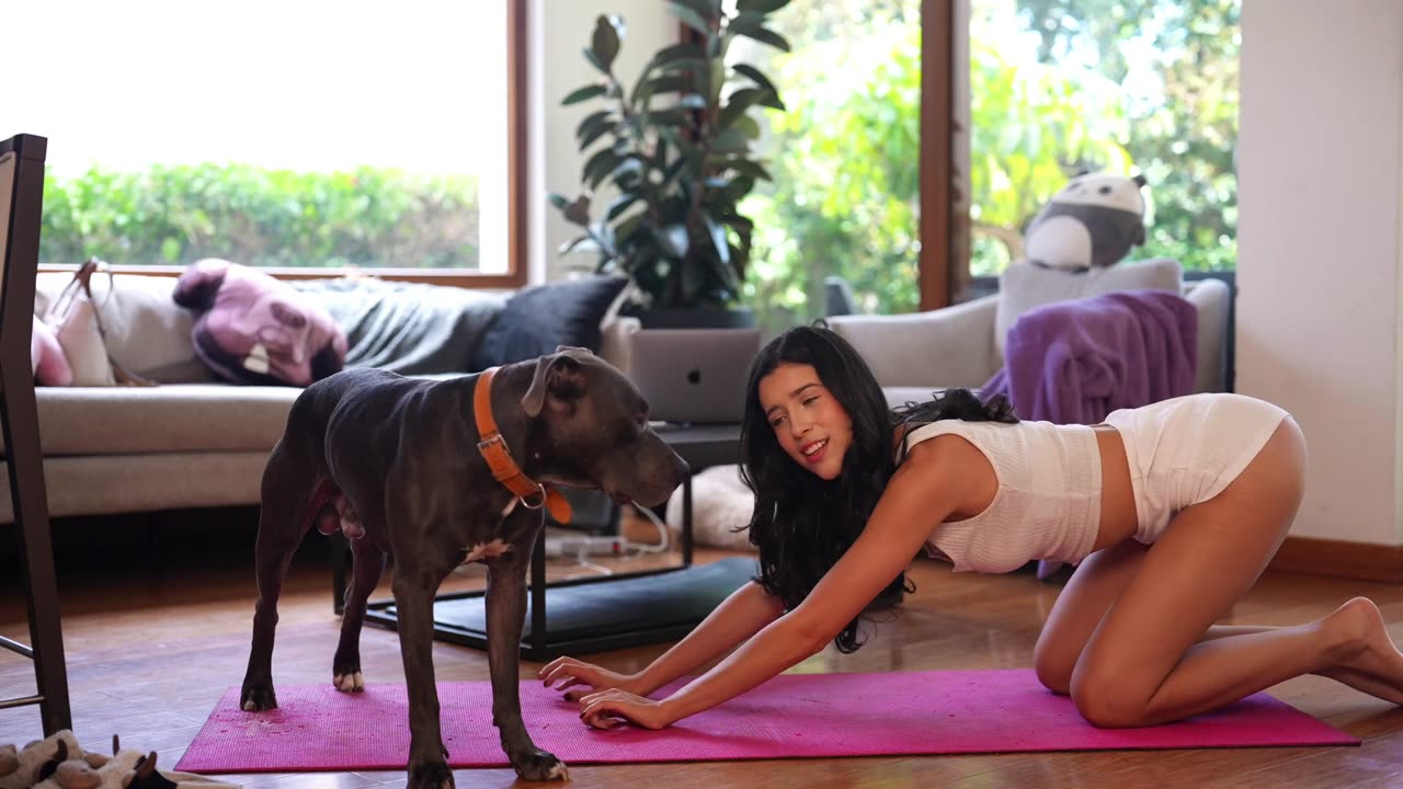 Beginner's Yoga for My Bad Knees Featuring My Fur Babies!