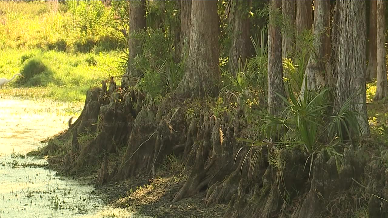 New Tampa Pebble Creek Golf Course controversy continues, future still unknown