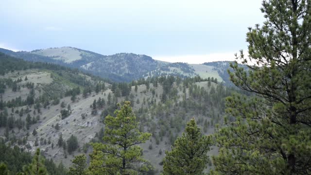 Ridge line pan