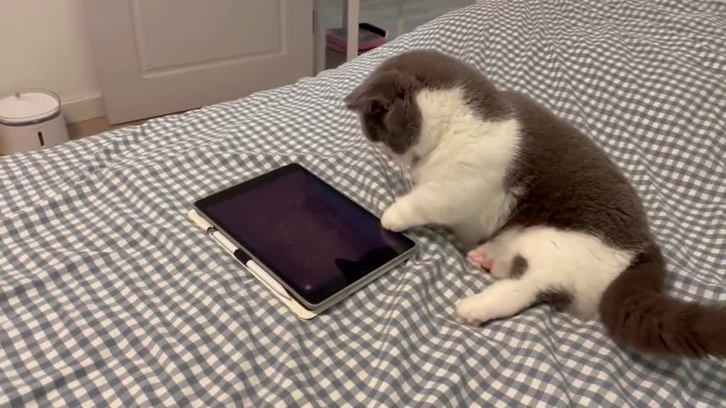 Haha, he's getting cranky.🤣