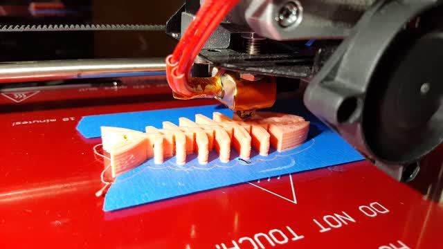 3D Fish Print