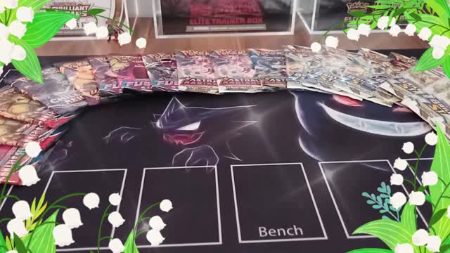 pokemon video test No2