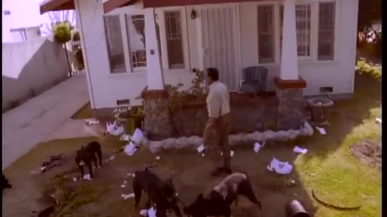 Snoop Dogg - Who Am I (What's My Name)?