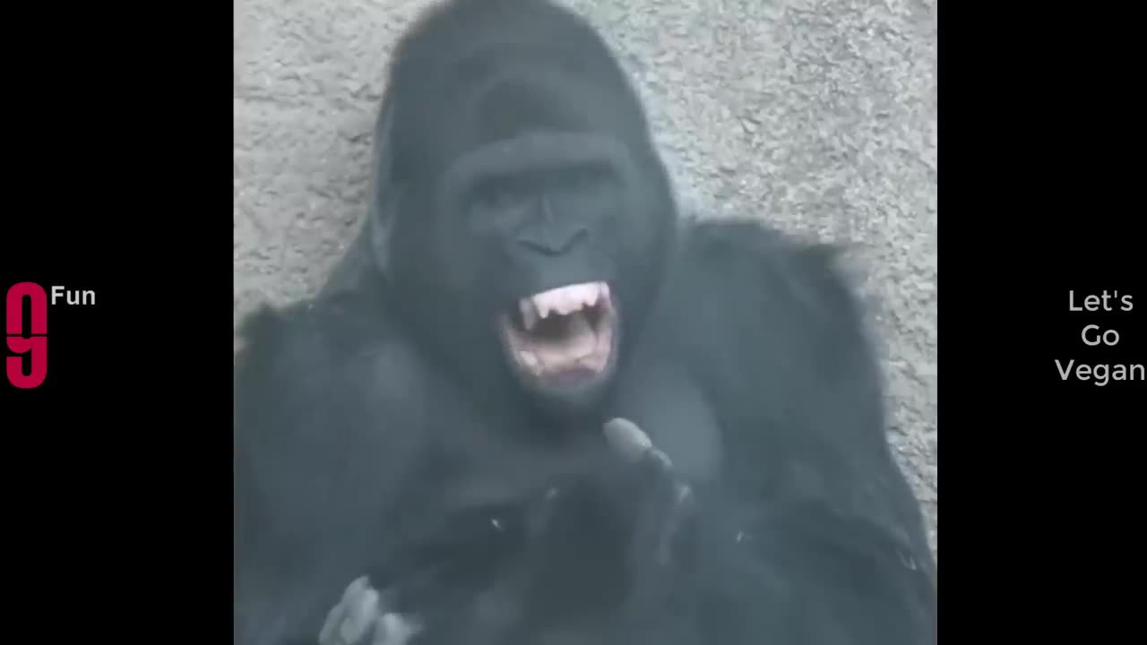Funniest FALLS ON THE INTERNET!!