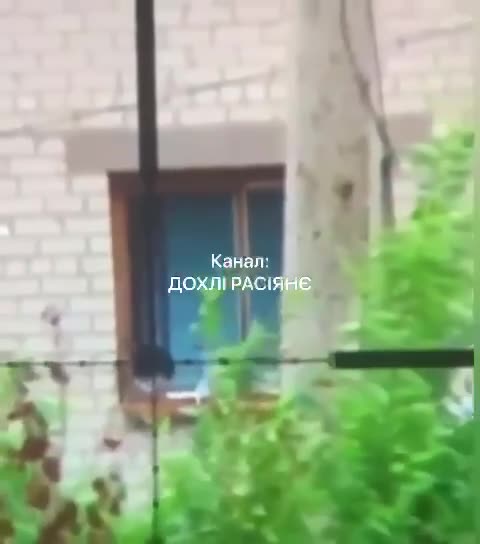 +18 Disturbing Video showing dead and wounded