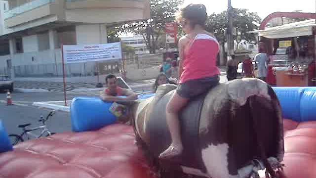 Child climbs on wild bull