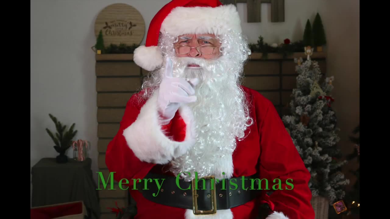 StoryTime with Teacher Ray - Christmas Storytime with Special Guests