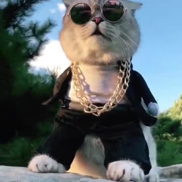 Wow, it was very good, don't miss it, very very good