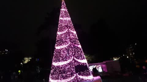 Lights at Christmas 2021