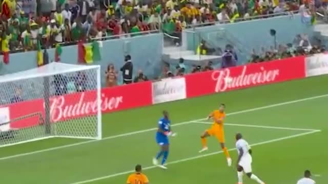 A Special Goal For Codi Gakpo on His world Debut cup