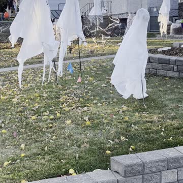 Ghosts in Garden