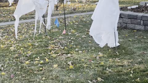 Ghosts in Garden