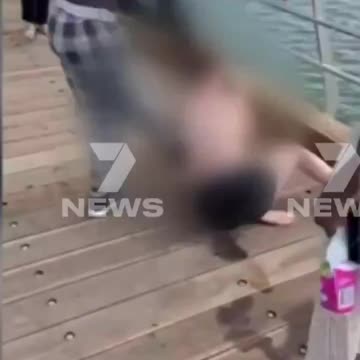 A Group of Black People Jump An Autistic 14 Year Old White Girl In Melbourne Australia