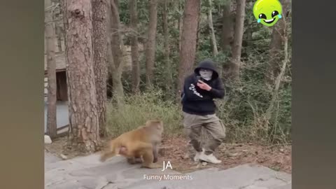 Comedy Trends ：Funny Videos from Around the World Cute People And Animals Doing Funny Things 8