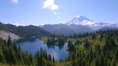 Mount Rainier National Park - Nature Relax Video, Summer Scenery