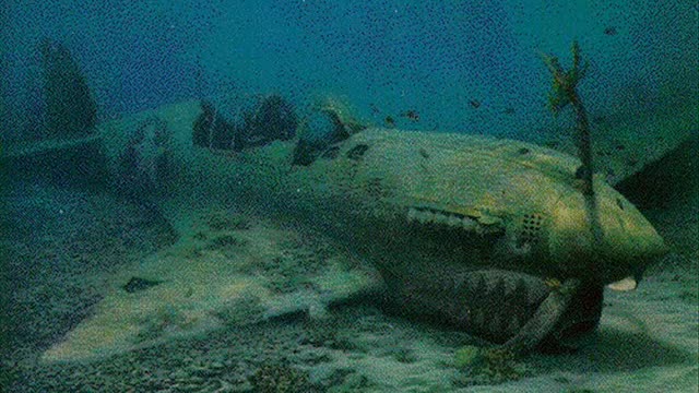 Sea Wreckage Of World War II