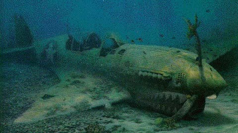 Sea Wreckage Of World War II