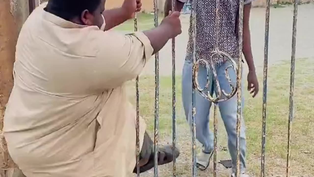 Funny video