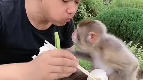 Monkey & boy Frindship🤣🤣🤣#Viralvideo