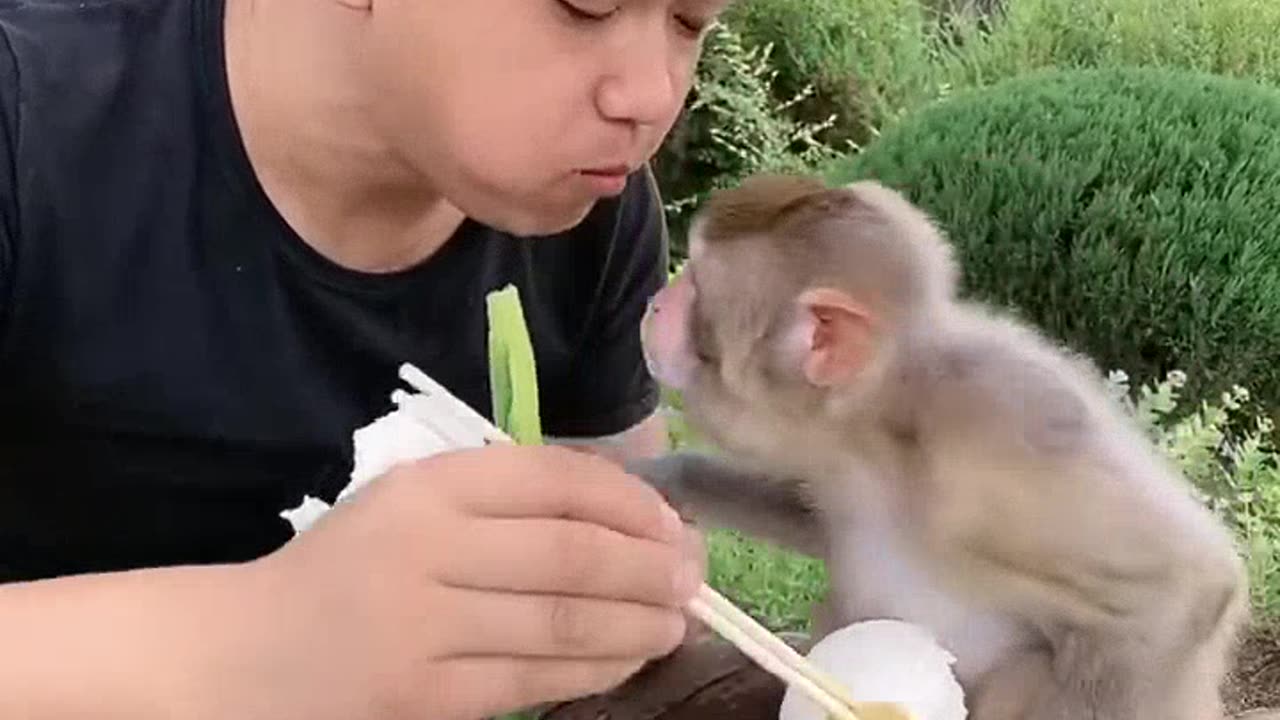 Monkey & boy Frindship🤣🤣🤣#Viralvideo