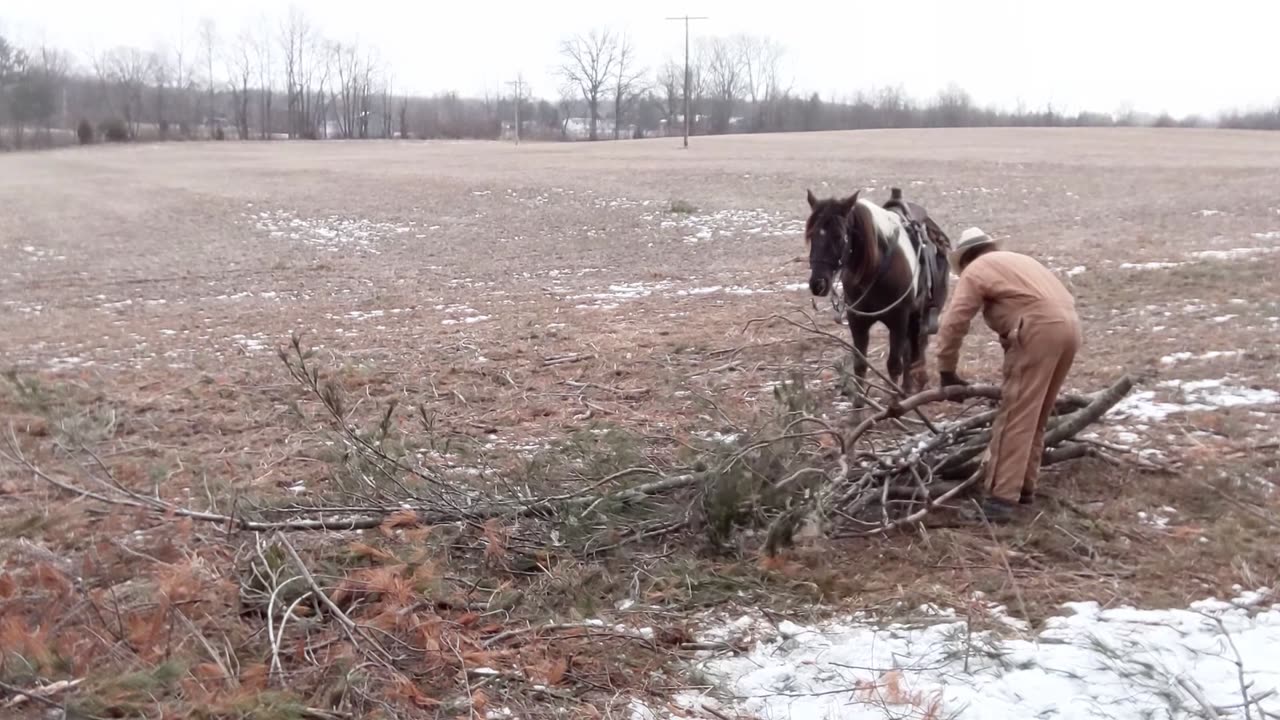 Avi - Stand-Stay then Dally and Drag - 25 Feb 2023