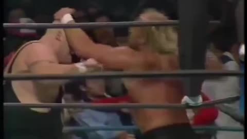 Hogan vs Bundy