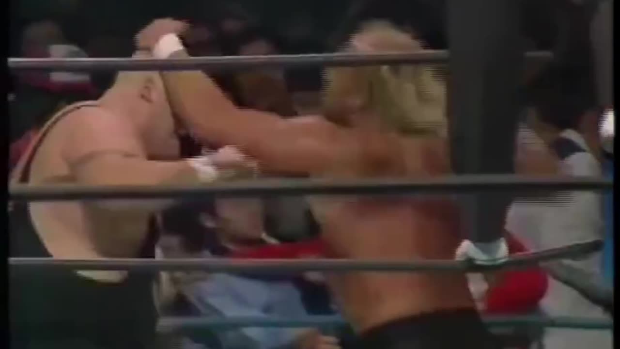 Hogan vs Bundy