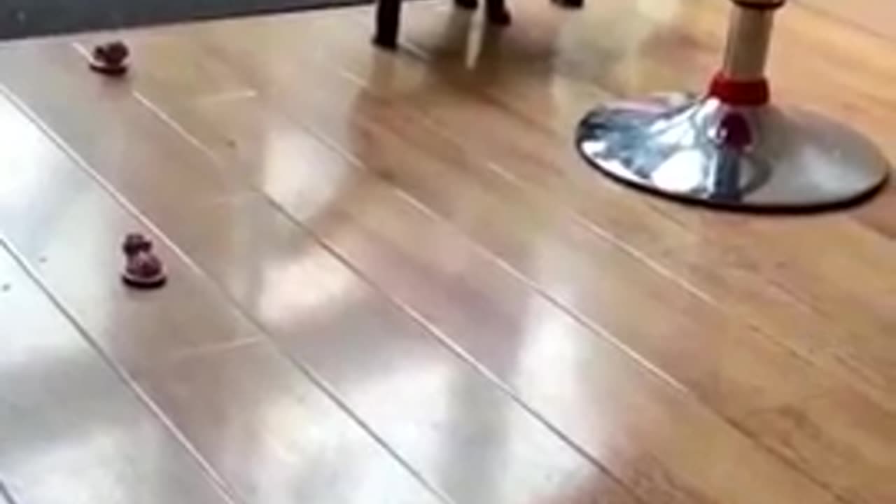 videoplayback