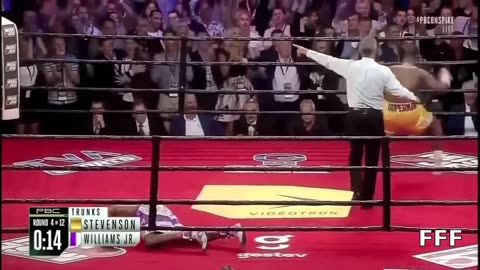 Most Funniest Knockouts in Boxing