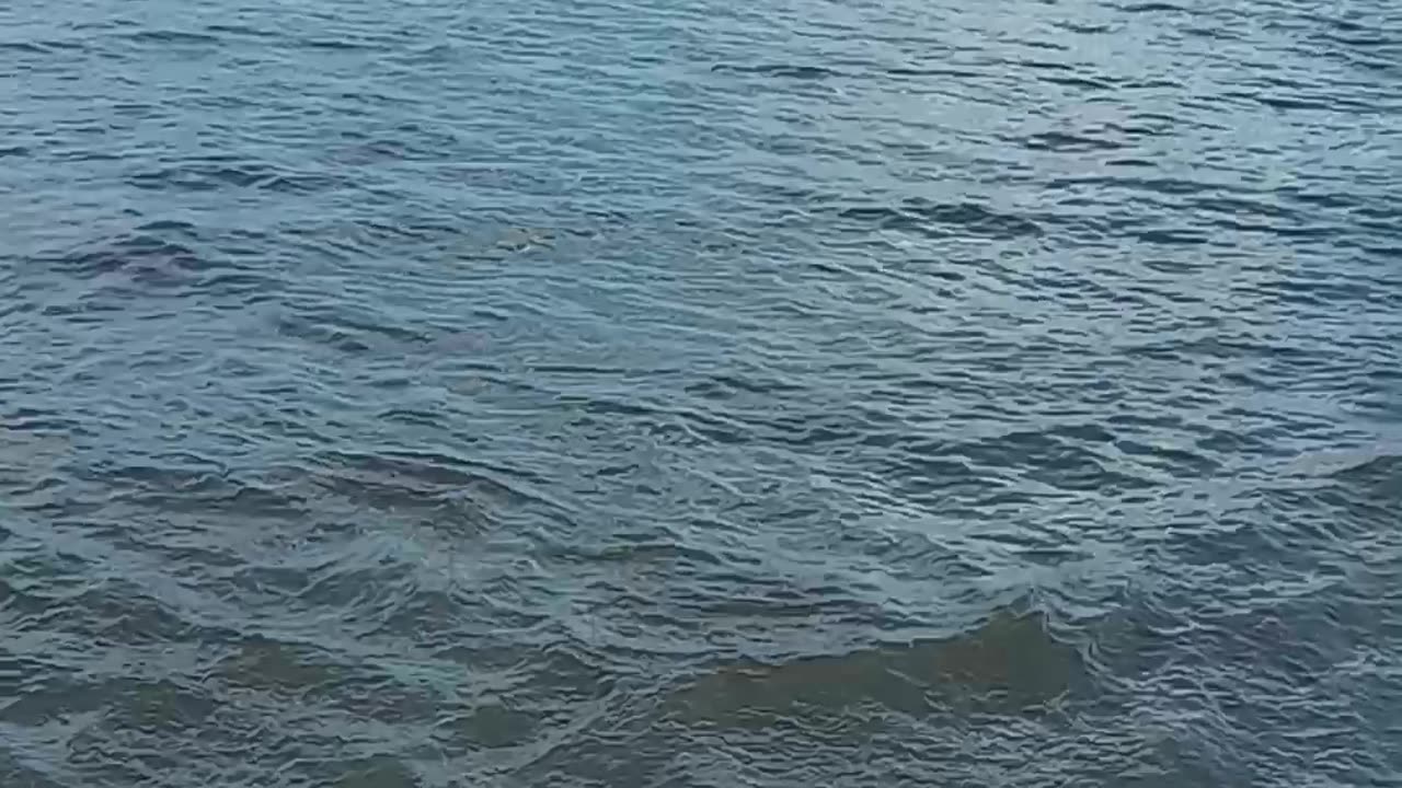 The waves were speaking