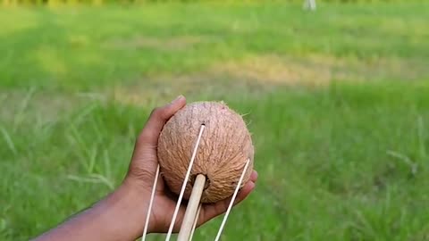 Bamboo creations with coconut and coca cola